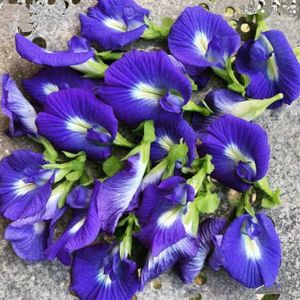 Flowering Seeds ( Pack Of 7)