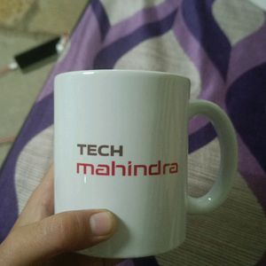 Tech Mahindra Cup