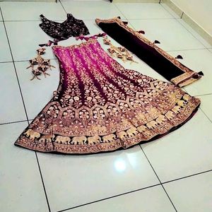 Designer Lehenga Choli Set