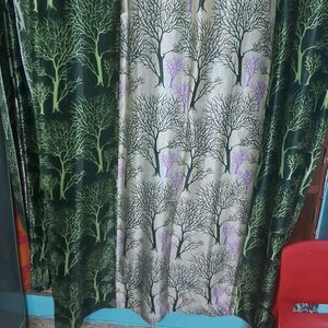 Curtain