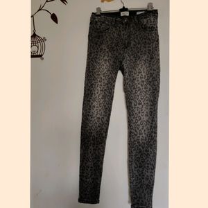 Imported Animal Print pant