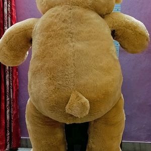 6 Feet Archie's Branded Teddy Bear