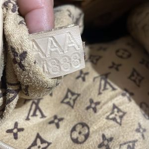 LV bag