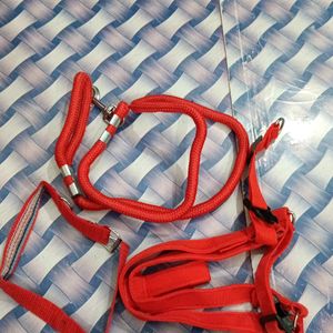 Dog leash And Collar Set For Harness