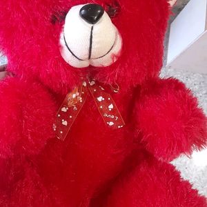 Red Teddy