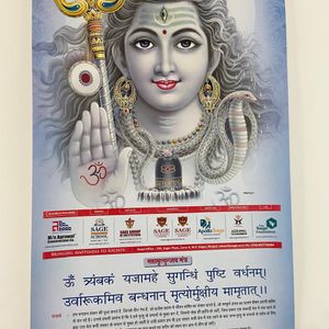 Shiv Ji Wall Hanging  Big Size