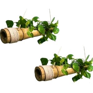 Bamboo Plant Hanger