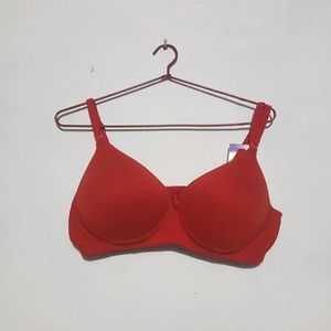 Brand New Padded Bras (Set Of 3)