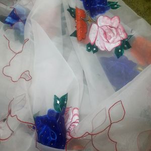 Painted Dupatta