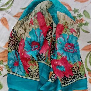 Multicolor Dupatta