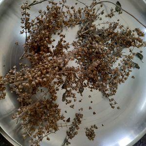 Tulsi Seeds box