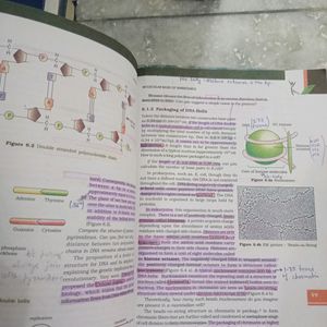 NCERT sciene 11th And 12th Books