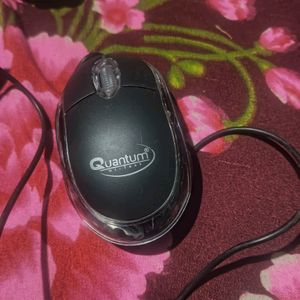 Quantum Mouse Premium Quality ✌️