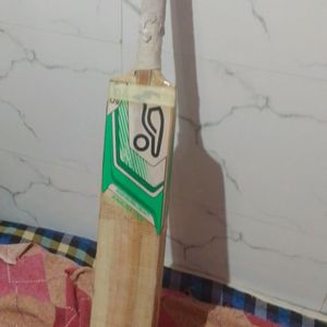 Kookaburra Kashmir Willow Cricket Bat