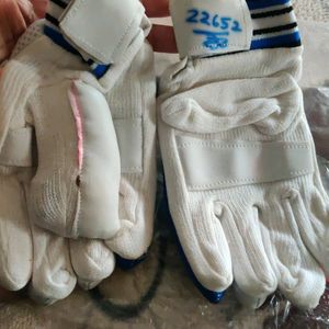 Cricket Hand Gloves