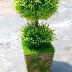 Artificial Plant