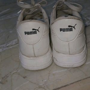 Puma shoes