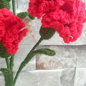 Handmade Crochet Bouquet Of Carnations