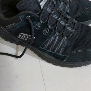 Skechers Shoes