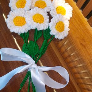 Pack Of 6 Crochet Daisies 🌼