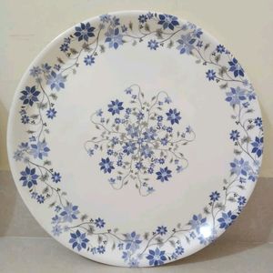 Melamine Ware 2 Dinner Plates