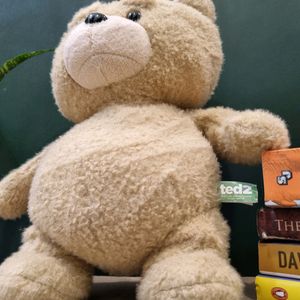 Ted Plush Toy From Ted2