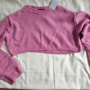 Magenta  Crop Top