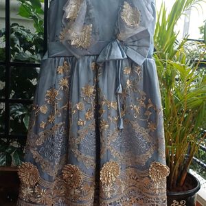 Beautiful Grey Embroidered Gown