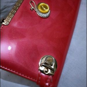 Beautiful Clutch/Handbag/Wallet