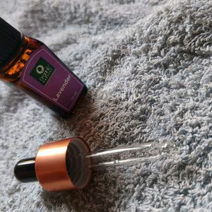 Organic Harvest Lavendar Essential Oil