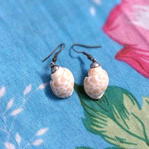 Real Shell Earrings 🐚🐌