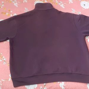 Men Polo Collar Sweat Shirt (Purple)