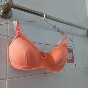 Completely New T- Shirt Bra