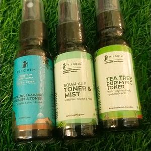 VIRAL Korean Pilgrim Skincare Whole Kit