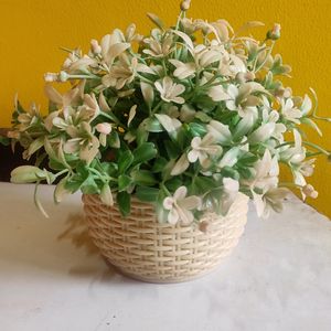 Small Artificial Plant