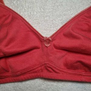 Rust Color Bra