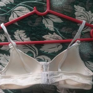 Padded Bra For Women