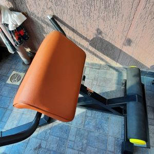 Gym Hyperextension Bench