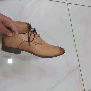 Woodland Tab Brown Shoes