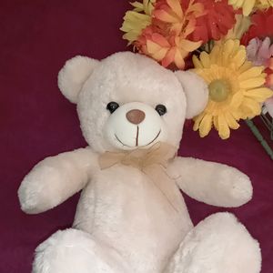 Soft Toys Teady Bear For Your Loved Once