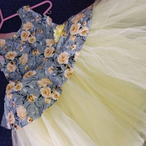 Brand New Organza Birthday Dress