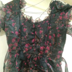 Fairycore Vintage Dress