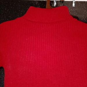 Winter Woolen Turtle Neck Top