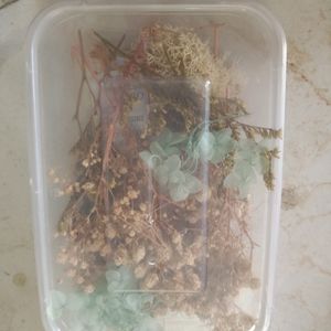 Resin Dry Flowers