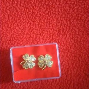Earing(Chithabaram Gold Covering)