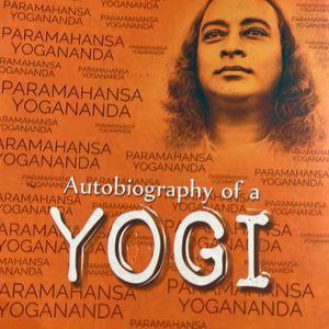 Yogi