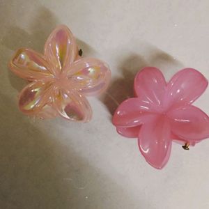 Small Flower Claw Clip, Combo Of 2