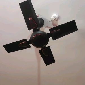 Candes Brio Turbo 600 Mm 4 Blade Ceiling Fan