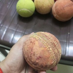 Sg Professional Cricket Ball