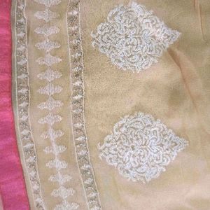 Beige emboidery soft light pure jorget dupatta